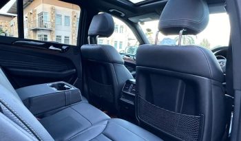 Mercedez Benz ML 350D full