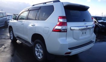 WhatsApp Image 2024-03-02 at 09.05.11 (1)