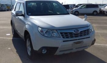 PHOTO-2026-02-23-18-19-45